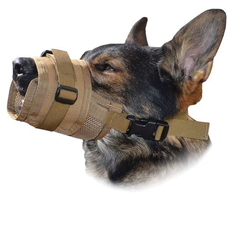 All About Soft Muzzles For Dogs (Aka Emergency Muzzles) – KeyPetCare.com