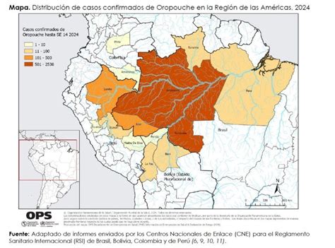 Confirman fiebre de Oropouche en Cuba qué es esta enfermedad parecida