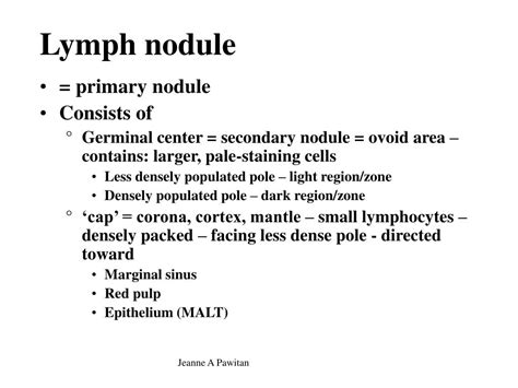 Ppt Histology Of The Immune Lymphoid Lymphatic System Powerpoint Presentation Id3554941