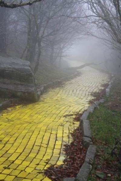 yellow brick road wallpaper - find and download best Wallpaper images at itl.cat