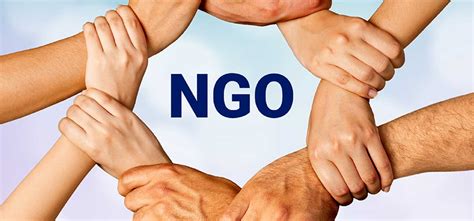 Non Governmental Organizations Ngo Management Course