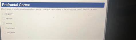 Solved Prefrontal CortexWhich sense of emotions are | Chegg.com