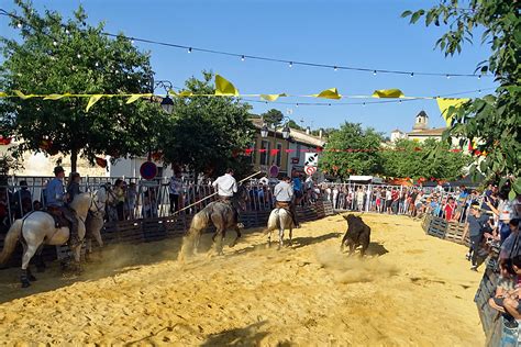 C est parti pour le 130ème anniversaire de L Abrivado Voir Plus