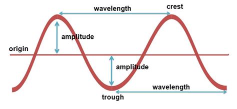 Wavelength Amplitude Frequency 1 1K Plays Quizizz