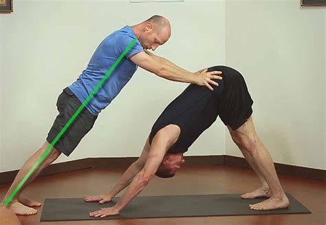 Adjusting Downward Dog - Yoganatomy