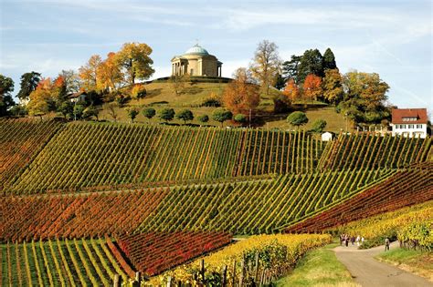 Excursions Dans Le Vignoble Tours In The Vineyards Anciens Et R Unions