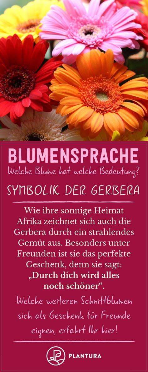 19 Blumensprache Symbolik And Bedeutung Ideen Pflanzen Blühende