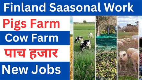 How To Apply Finland Seasonal Work Visa From Nepal Seasonal Work