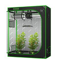 Amazon Vivosun Giy X Grow Tent Complete System X Ft Grow