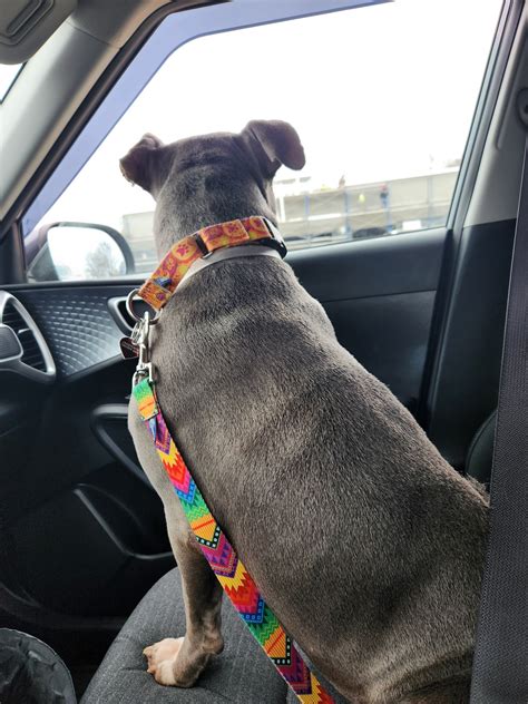 Where to Find Faxing and Scanning Services in Louisville, KY 14