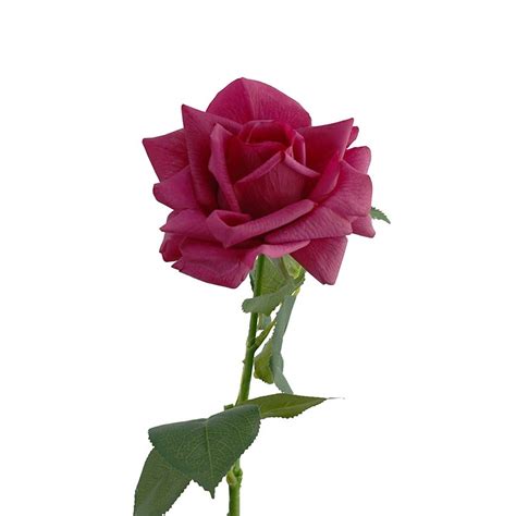 Real Touch Bloomed Rose Hot Pink Cm Desflora