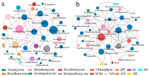 Molecular Ecological Networks Of Dominant Fungal Species And