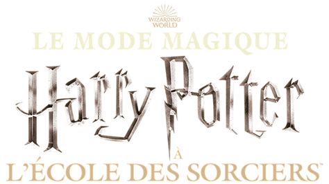 Résumé Et Casting Harry Potter à Lécole Des Sorciers Version Longue