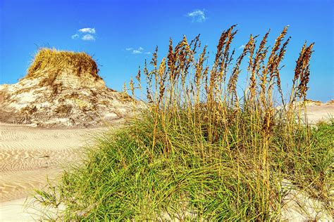 Outer Banks Sand Dune Visions Photograph By Dan Carmichael Pixels