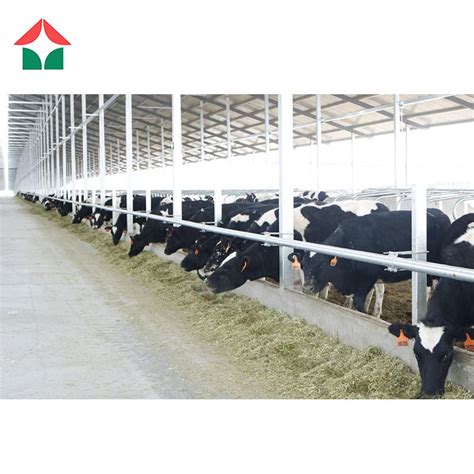 Low Cost Prefabricated Metal Steel Frame Cattle Farm Cow Shed Goat