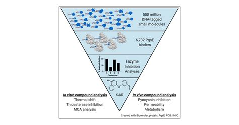 Discovery Of Pqse Thioesterase Inhibitors For Pseudomonas Aeruginosa Using Dna Encoded Small