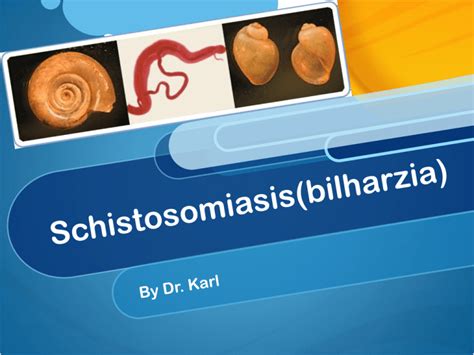 Schistosomiasisbilharzia