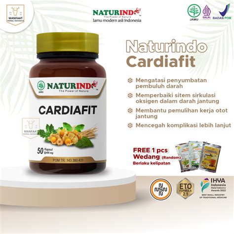 Jual Obat Sakit Jantung Paling Ampuh Herbal Nyeri Dada Berdebar Aritmia