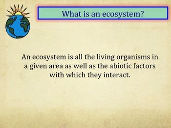 Ecosystems Test Prep Review Questions By Amy Brown Science TPT