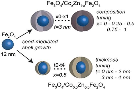 Schematic Diagram Of The Core Shell Nanoparticles Synthesized Through A