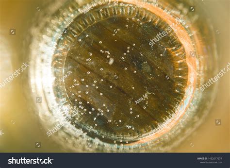 Bacteria Under Microscope Bubbles Water Bacteria Stock Photo 1432017674 | Shutterstock