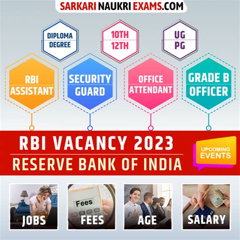 dsn intervention indonesia geospasial rbi recruitment apply