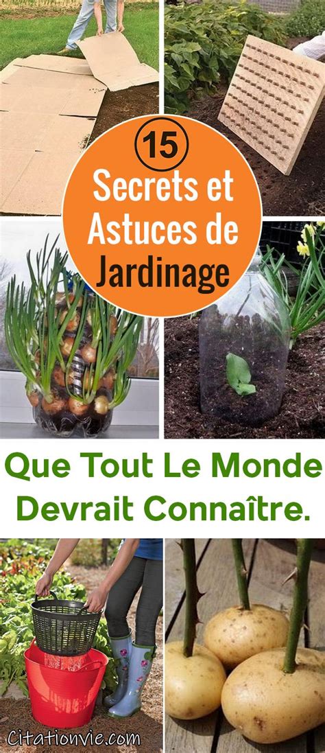 15 Secrets et Astuces de Jardinage Que Tout Le Monde Devrait Connaître