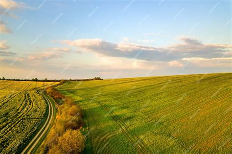 Premium Photo Aerial View Of Bright Green Agricultural Farm Field