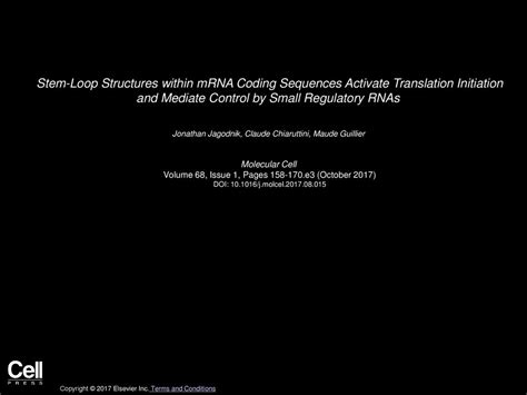 Stem Loop Structures Within Mrna Coding Sequences Activate Translation