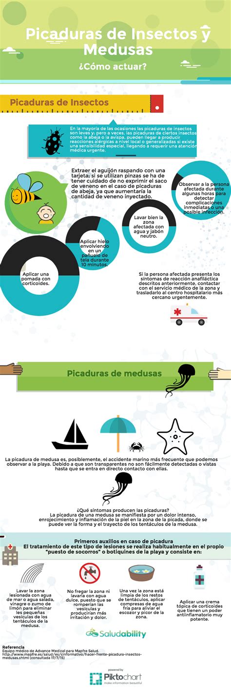 Infografía Picaduras De Insectos Y De Medusas ¿cómo Actuar