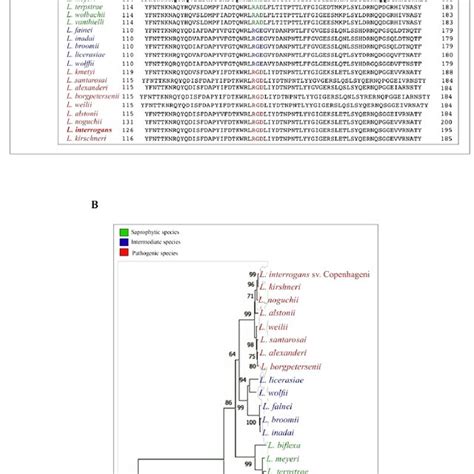 Sequence Conservation Among Leptospiral Pathogenic And Non Pathogenic Download Scientific