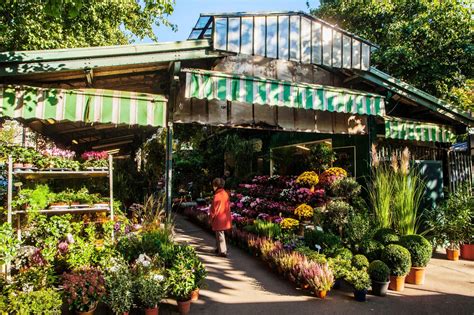 Le March Aux Fleurs Reine Elizabeth Ii Une Balade Bucolique