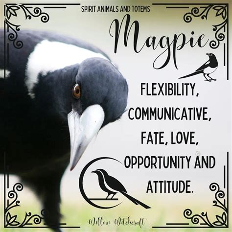 The power of november s spirit animal a guide – Artofit