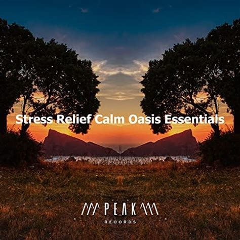 Amazon Stress Relief Calm Oasis Essentials Stress Relief Calm