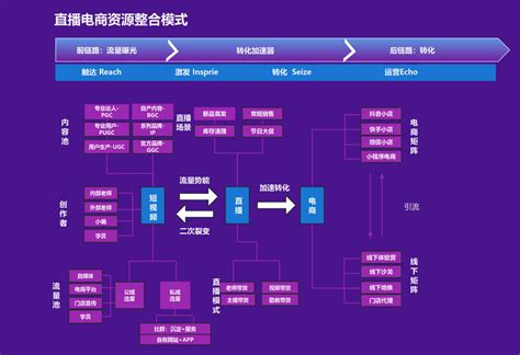 直播电商资源整合模式 流程图模板processon思维导图、流程图