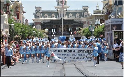 La Banda De Las Abejas Todo Un Enjambre Musical