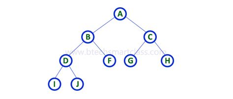 Data Structures Tutorials - Binary Tree with an example