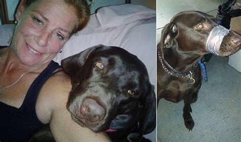 Woman Who Duct Taped Her Dogs Muzzle When He “wont Shut Up” Now