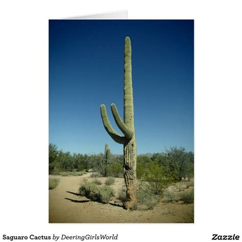 Saguaro Cactus Card Cactus Bridal Cactus Wedding Cactus Ts