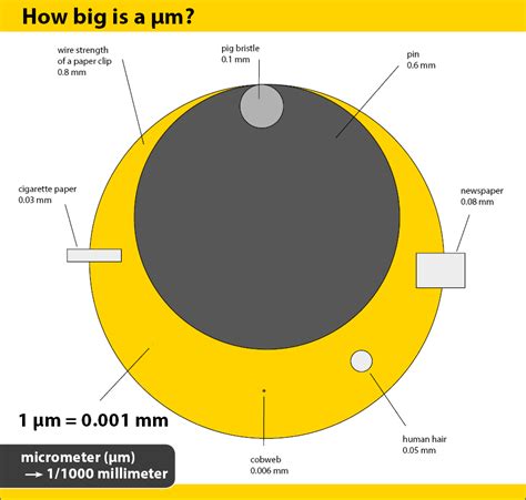 How big is a µ