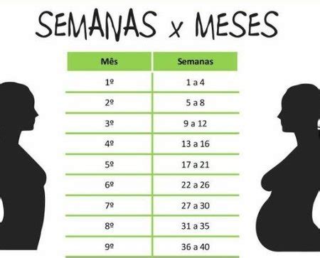 Contagem de semanas e meses - Tabela | BabyCenter