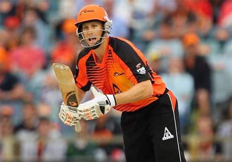 CLT20 Adam Voges Named Perth Scorchers Captain India TV