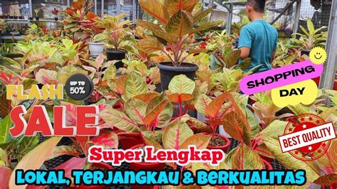 Promo Aglaonema Lokal Langsung Dari Petani Harga Ekonomis Varian