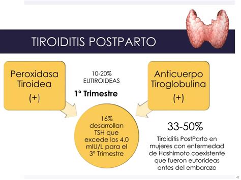 Enfermedad Tiroidea Y Embarazo Ppt