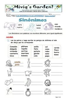 Los Sinónimos Synonyms in Spanish by Miviq TPT