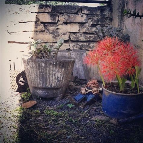 Two Potted Plants Sitting Next To Each Other In Front Of A Stone Wall