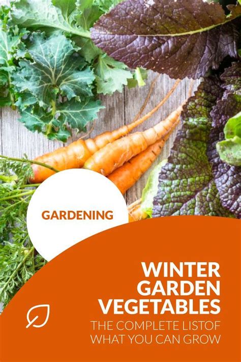 Winter Garden Vegetables | The Complete List of What You Can Grow ...