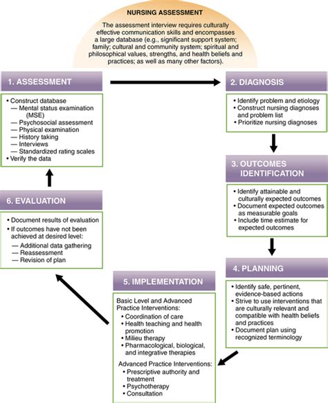 Components Of Nursing Process