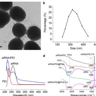 Characterizations Of PDA NPs A Transmission Electron Microscopy TEM