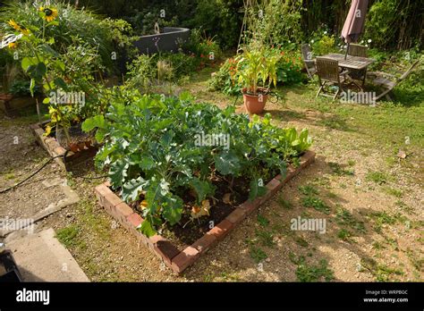 Brick raised bed hi-res stock photography and images - Alamy